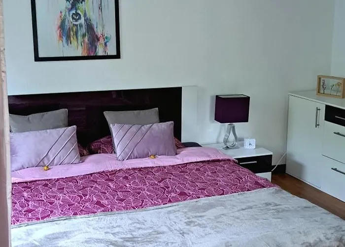 An Der Steinbergwiese Mit Sauna Und Terrasse 戈斯拉尔